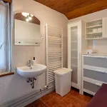 Apartmaji Prezelj アパート *