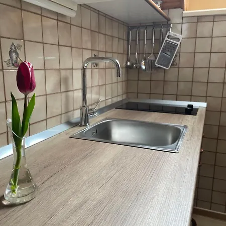 Apartmaji Prezelj Daire *
