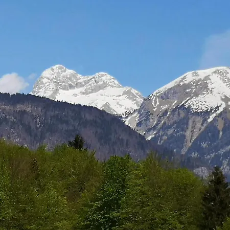 Apartmaji Prezelj Bohinj