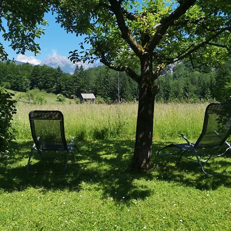 Apartmaji Prezelj * Bohinj