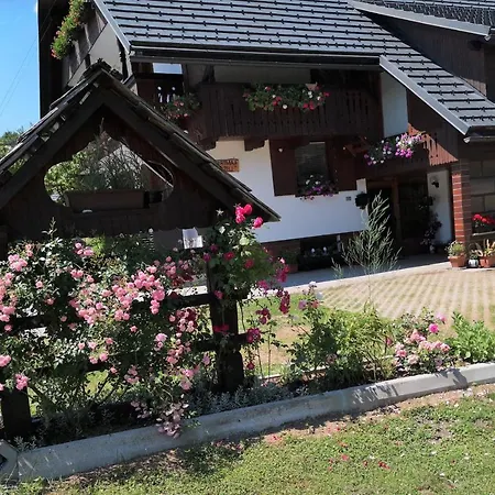 Apartment Apartmaji Prezelj *
