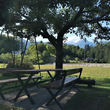 Apartmaji Prezelj Daire *