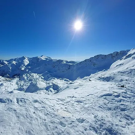 Apartmaji Prezelj Daire *