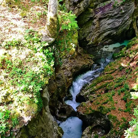 Apartmaji Prezelj Bohinj