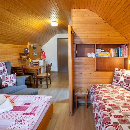 Apartmaji Prezelj Daire