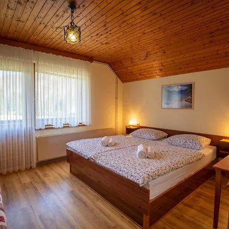 Apartmaji Prezelj Daire