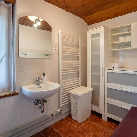 Apartmaji Prezelj Daire *
