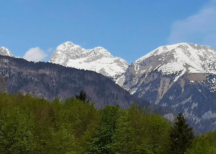 Apartmaji Prezelj Bohinji-tó