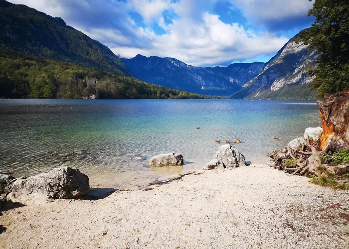 Lejlighed Apartmaji Prezelj