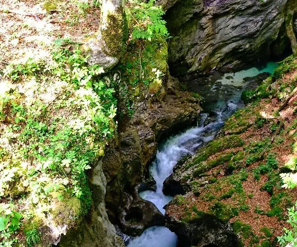 Apartmaji Prezelj Bohinj